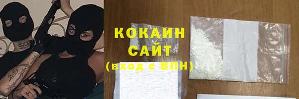 СК Бронницы