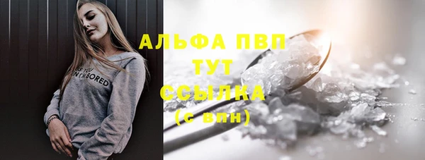 СК Бронницы
