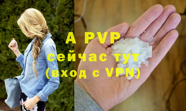 СК Бронницы