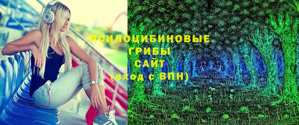МДПВ Бугульма