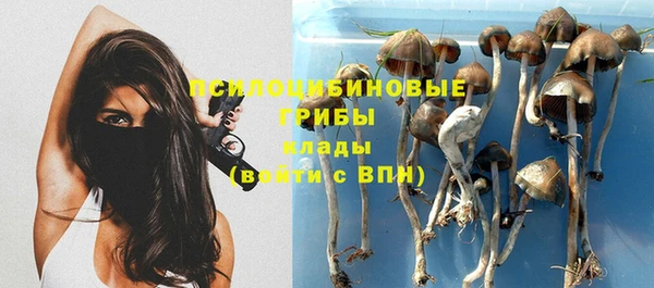 СК Бронницы