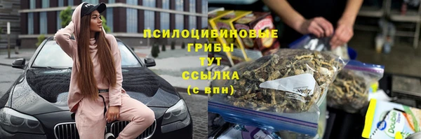СК Бронницы