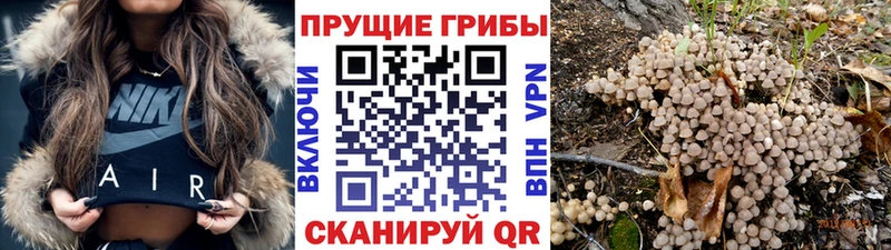 цены   Гусь-Хрустальный  hydra ссылки  Псилоцибиновые грибы мухоморы 